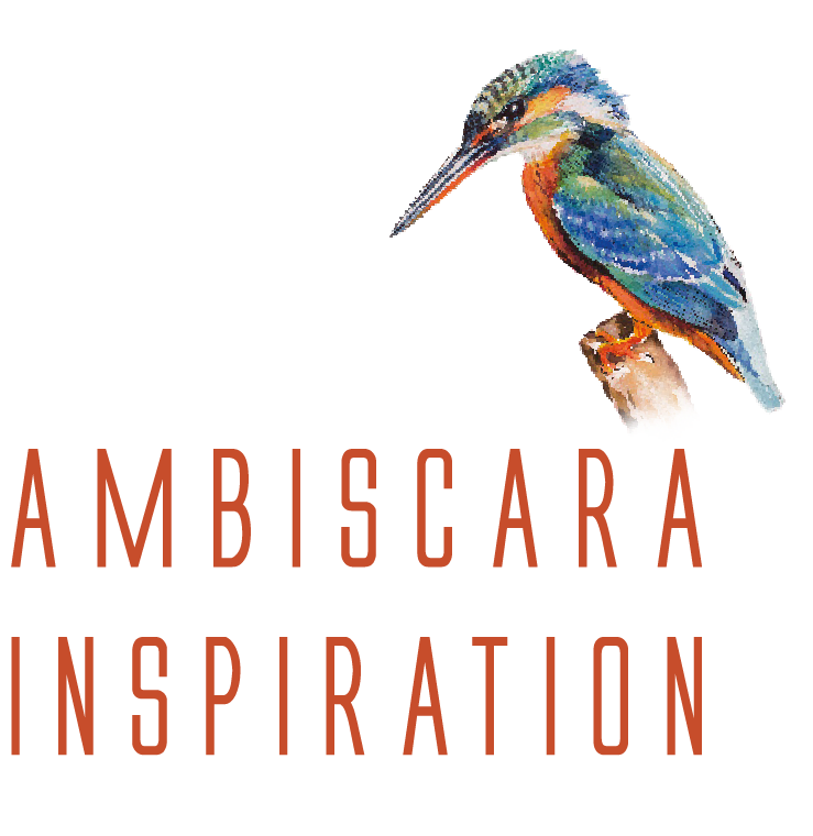 Ambiscara